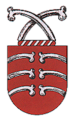 Brasão tradicional da família Costa