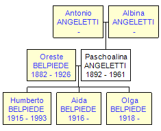 Mini tree diagram